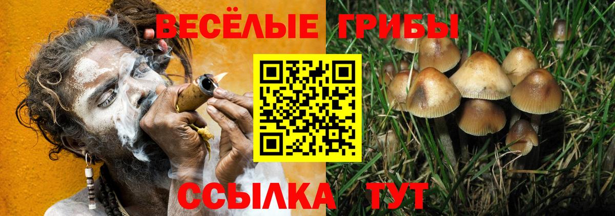 купить наркоту  Галлюциногенные грибы MAGIC MUSHROOMS  Вход с VPN  Псилоцибиновые грибы Cubensis  Химки 