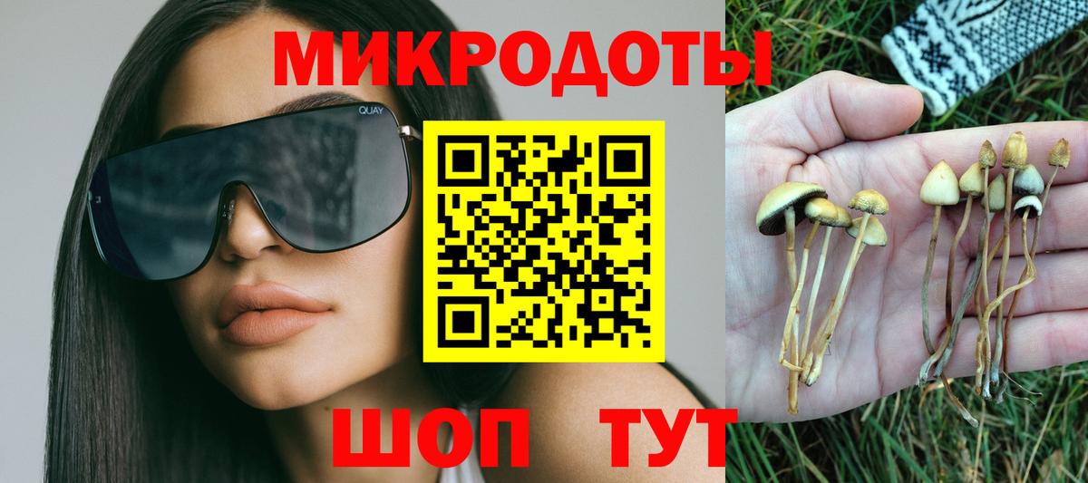 Галлюциногенные грибы Psilocybe Химки